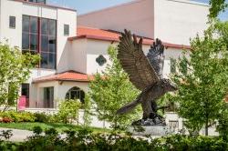 Hawk Statue