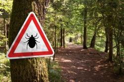 森林里有蜱虫的警告标志