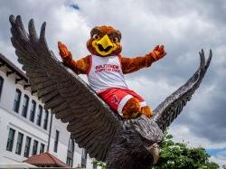 Rocky the Red Hawk sits atop a bronze Red Hawk statue.